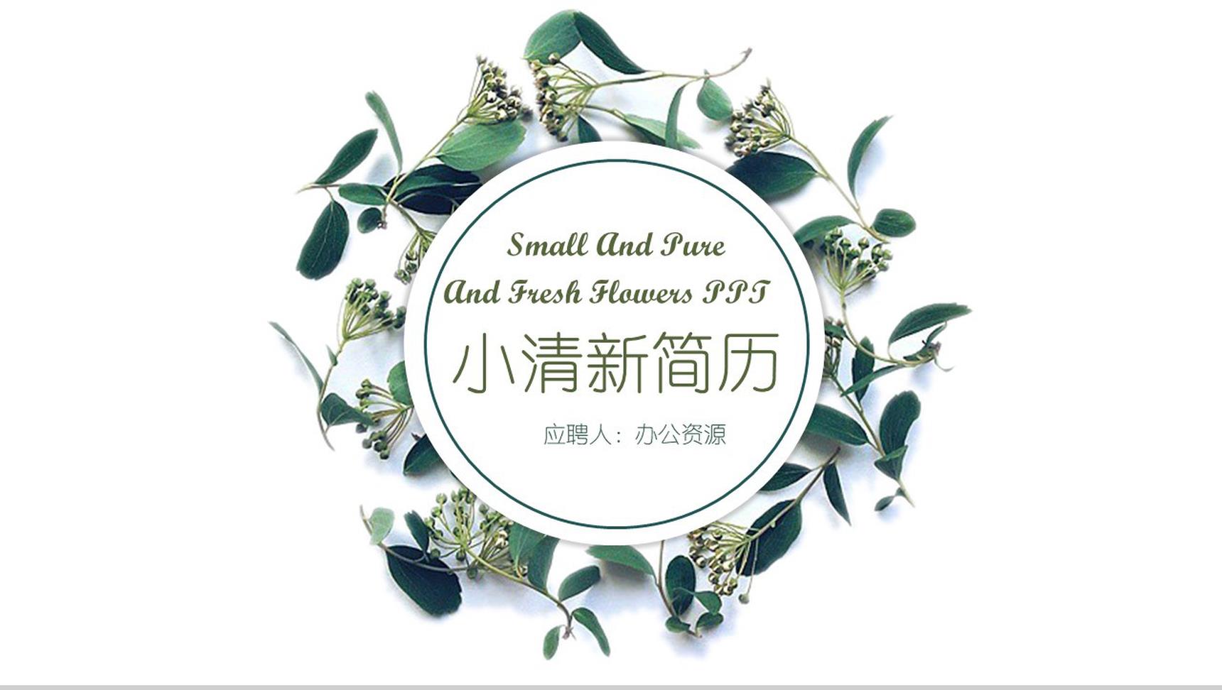 小清新创意个人应聘简历PPT模板