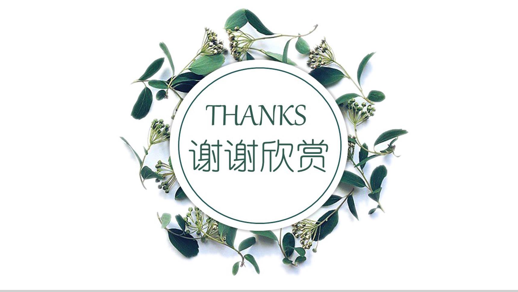 小清新创意个人应聘简历PPT模板