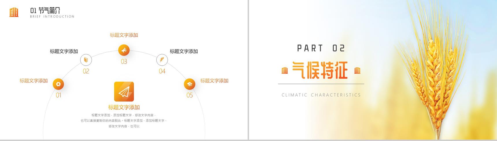 关于中国二十四节气之芒种节日的介绍PPT模板