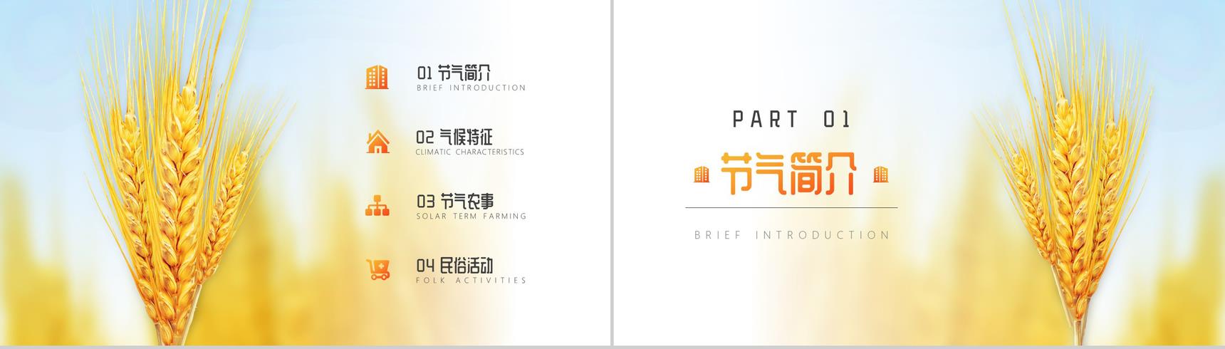 关于中国二十四节气之芒种节日的介绍PPT模板