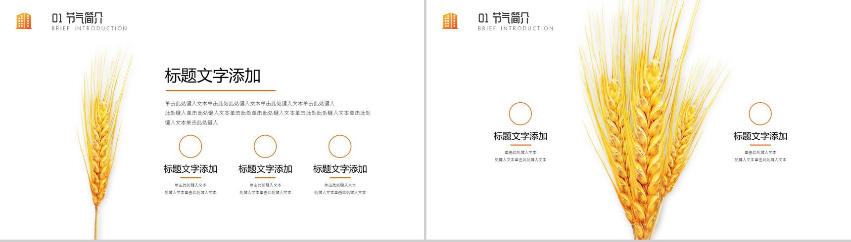 关于中国二十四节气之芒种节日的介绍PPT模板