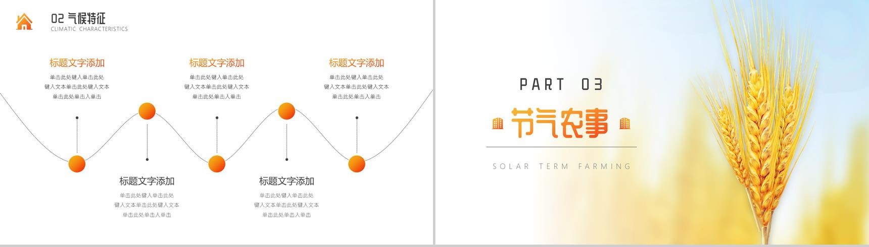 关于中国二十四节气之芒种节日的介绍PPT模板