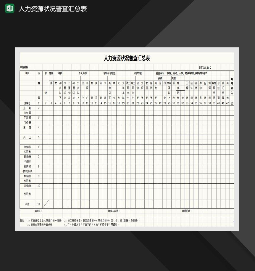 人力资源状况普查汇总表Excel模板