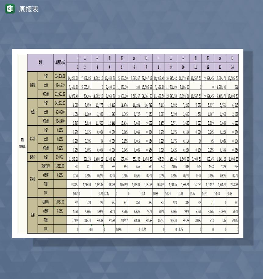 tsl项目周报表Excel模板