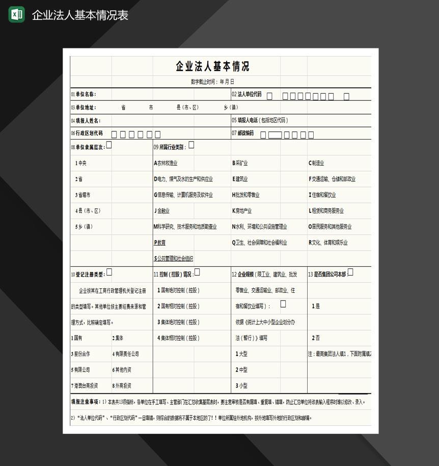 企业法人基本情况表Excel模板